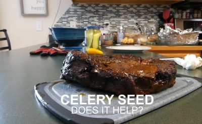 Does Celery Seed Work - Electric Smoker - Smoke Ring